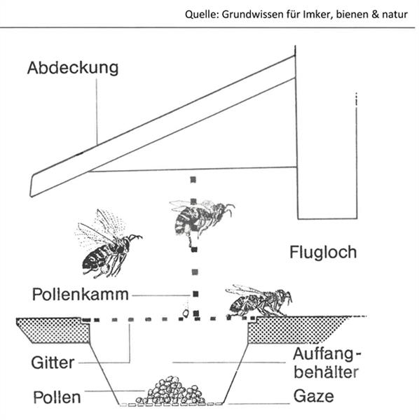 Pollenfalle aus Holz