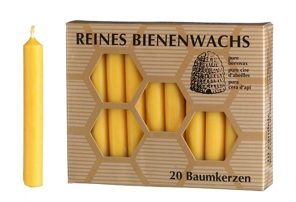 Baumkerzen aus Bienenwachs